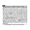Royal Canin Persian Adult pienso para gatos, 2 kg