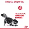 Pienso para gatos Royal Canin Digestive Care 4 kg — Gatos adultos, ave, favorece la digestión