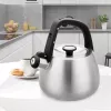 Hervidor Maestro MR-1318 de 2,5 l, plateado, negro