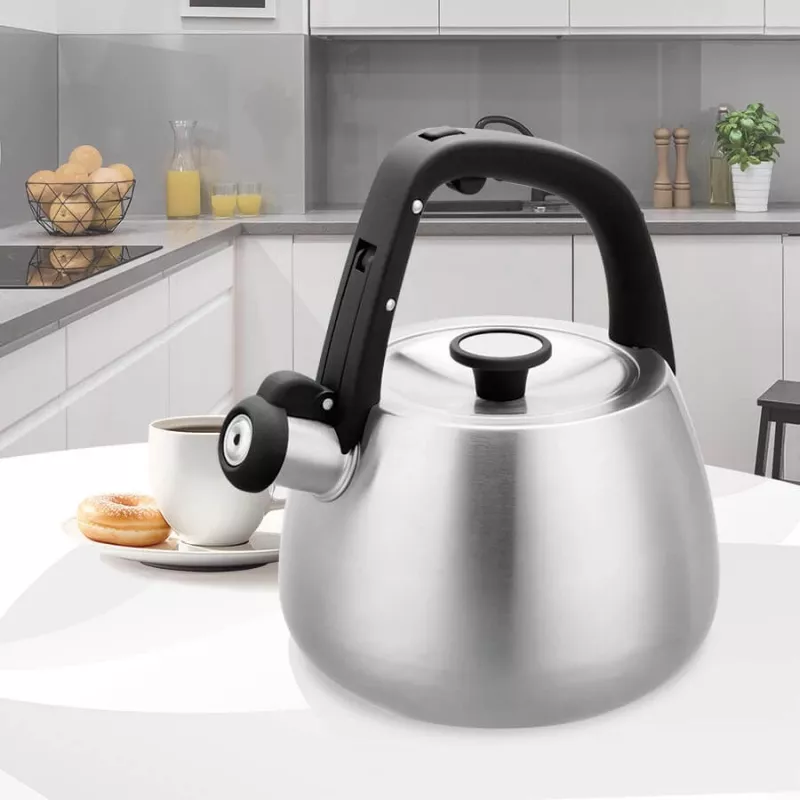 Hervidor Maestro MR-1318 de 2,5 l, plateado, negro