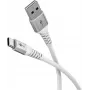 Wentronic 74529 Cable USB blanco