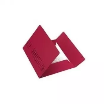 CHIC Carpeta de documentos BURDEOS 25 uds. (31477BX Nuevo: 100091171)