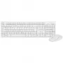 Conjunto inalámbrico de teclado y ratón LogiLink ID0104W