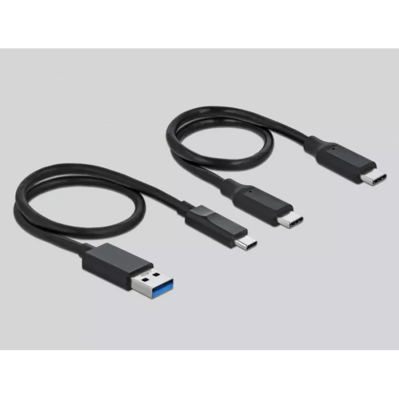 Lector de tarjetas DeLOCK USB Type-C para CFast SD + hub USB