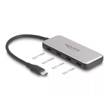 DeLOCK 64261 Hub USB 3.2 Gen 1 Type-C 10000 Mbit/s negro gris