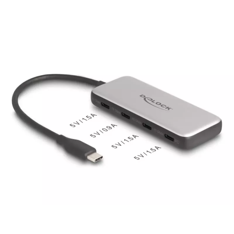 DeLOCK 64261 Hub USB 3.2 Gen 1 Type-C 10000 Mbit/s negro gris