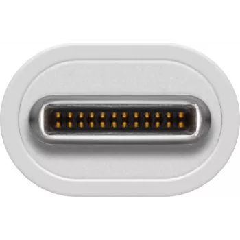 Wentronic 66255 Accesorio de conectividad Blanco