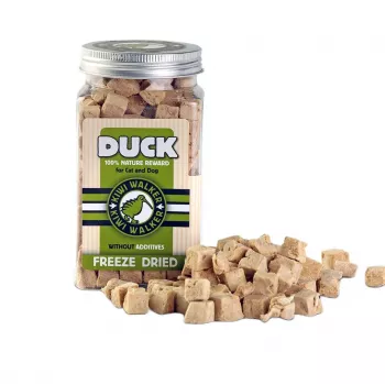 Premios de entrenamiento para gatos y perros john dog KIWI WALKER FDT-372 pato 80 g — sin cereales, proteína 64,7 %, sin gluten ni soja