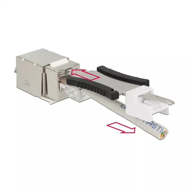 Delock 86404 módulo Keystone RJ45 Secure Cat.6 a LSA, blanco