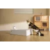 Arenero autolimpiable para gatos PETKIT T7-EU, blanco