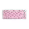 Glorious PC Gaming Race GMMK ABS Doubleshot V2 UK set básico - rosa (GLO-KC-ABS-UKKIT-P)