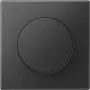 Jung tapa con mando giratorio serie LS, grafito LS 1740 SWM (LS1740SWM)