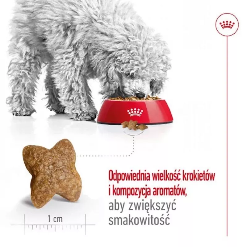 ROYAL CANIN Adult Mini S - Pienso seco para perros - 2 kg