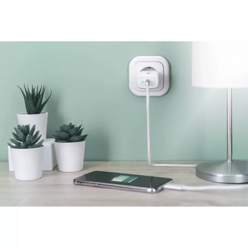 Digitus - fuente de alimentación - 20 vatios - 3 A - PD 3.0 (USB-C) - blanca (DA-10196)