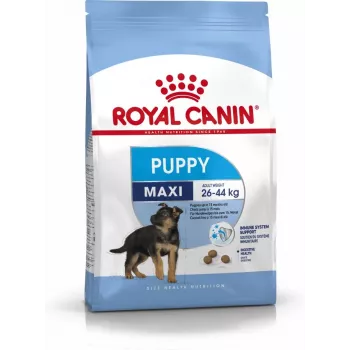 Royal Canin SHN Maxi Puppy - Pienso para cachorros - 4 kg