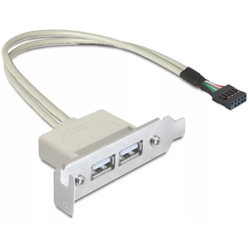 Chapa de ranura USB 2.0 DeLOCK 0,5 m