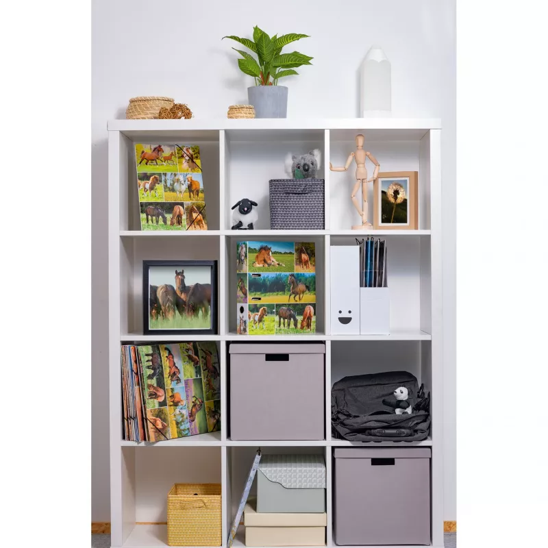 Archivador HERMA 19251 A4 multicolor con anillas D 285x315 mm