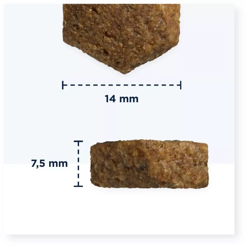 Eukanuba Dermatosis FP Adult comida para perros con pescado y patata, 5 kg