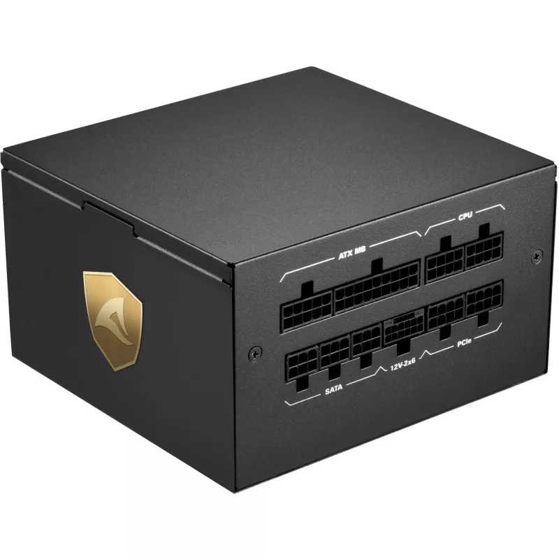 Fuente de alimentación Sharkoon Rebel P20 1000 W 24-pin ATX ATX Negro