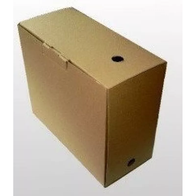 Caja de archivo SMLT, 350x160x300mm, marrón