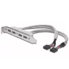 Cable con placa de ranura USB 2.0 HighSpeed Type 2xIDC (5pin)/4xUSB A M/H gris 0,25 m