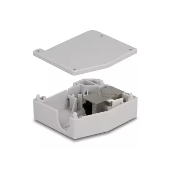 Adaptador para carril DIN DeLOCK conector hembra RJ45 a conector hembra RJ45 Cat.6A gris