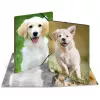 Carpeta de polipropileno (PP) HERMA 7144 A3 multicolor