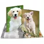 Carpeta de polipropileno (PP) HERMA 7144 A3 multicolor