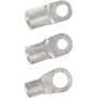 Terminal de anillo LappKabel sección (máx.)=2,5 mm² diámetro de agujero=6,5 mm sin aislar metal 63204135 100 uds. (63204135)