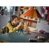 LEGO HARRY POTTER 76430 Lechucería del castillo de Hogwarts
