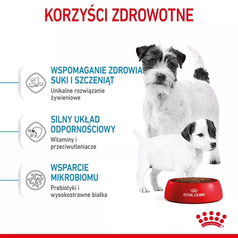 Pienso seco para perros Royal Canin Starter Madre & Cachorro 1 kg — pollo, 30% proteina, 22% grasa