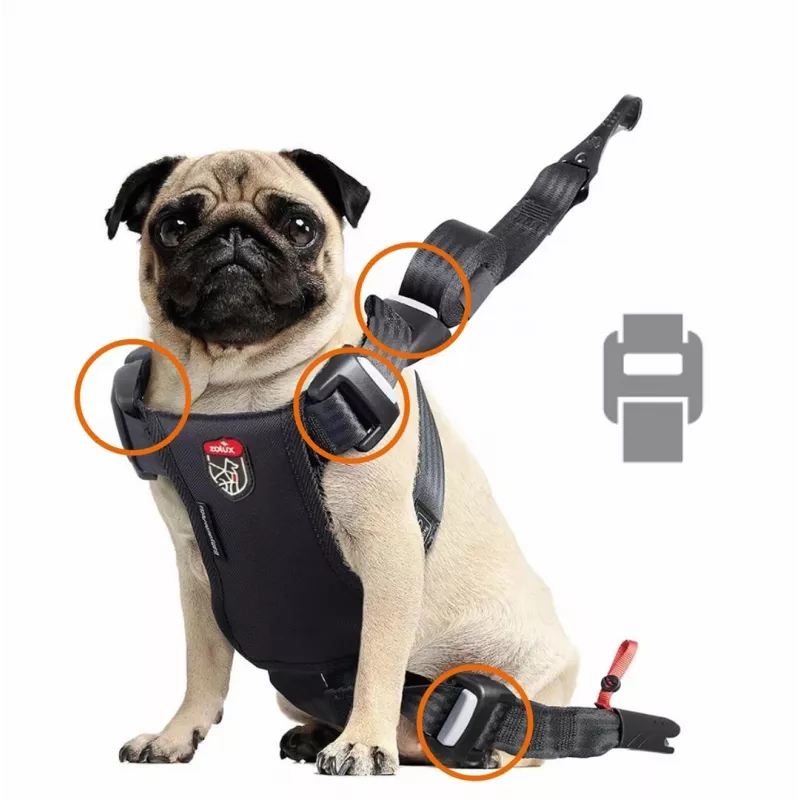 Arnés para perros ZOLUX TRAVEL SAFE M, talla M, rojo