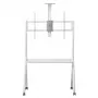 Soporte de TV de suelo MACLEAN MC-114 W para pantallas 55