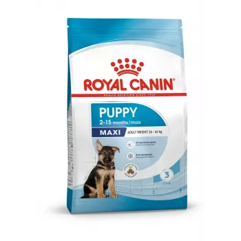 Pienso seco para perros Royal Canin Maxi Puppy 15 kg — Large Breed Junior, pollo, 30 % proteína, 16 % grasa