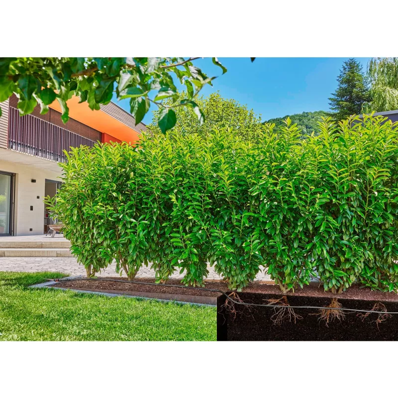 Gardena Micro-Drip-System línea de goteo, 1,6 l/h, 50 m (13504-20)