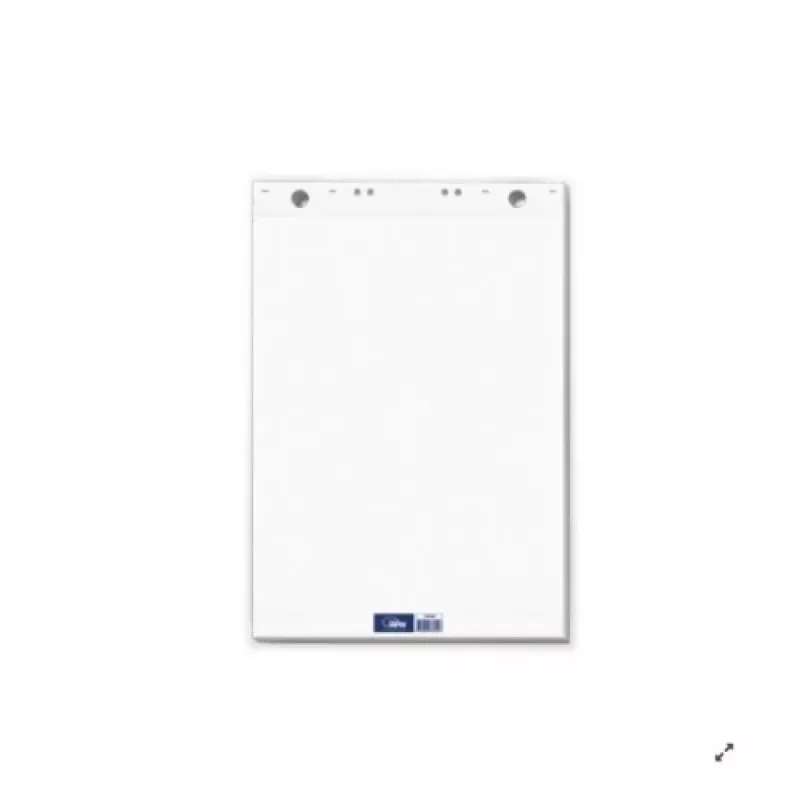 Bloc de conferencia Forpus, 65x100 cm, 80 g blanco (50) 0715-001