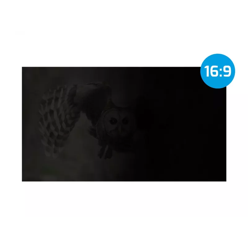 NATEC Owl NFP-1616 filtro de privacidad 13,3 pulgadas (33,8 cm), 16:9, 293,9x165,5 mm