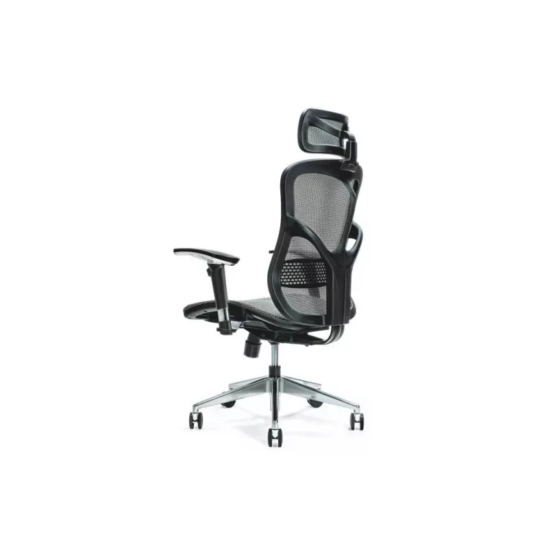 Silla de oficina ergonómica ERGO 500 gris