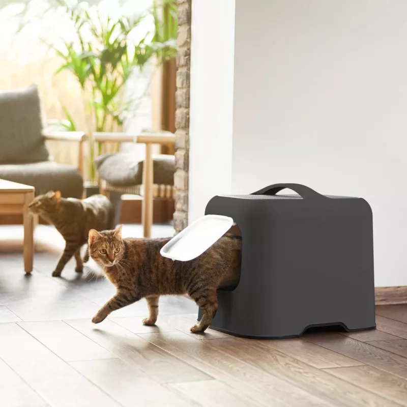 Rotho Biala bandeja sanitaria para gatos, plástico, 51 x 39,5 x 44,3 cm, antracita