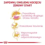 Comida seca para gatos Royal Canin Maine Coon Kitten 2 kg — aves, proteína 36%, grasa 23%
