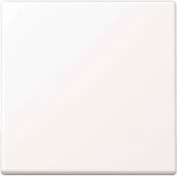 Placa de pared / tapa de interruptor Jung A590WWM, sin tornillos, plástico, simple
