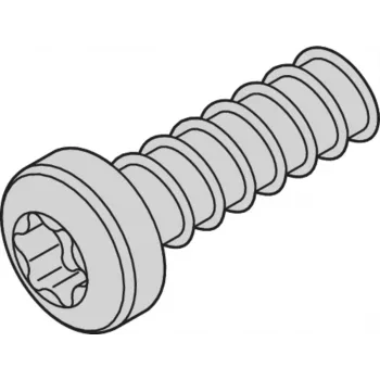 SCHROFF SCREW TORX 2.5X7.3 (100PCS) - Accesorio para rack (24560157)