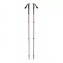 Bastones de trekking Black Diamond Trail Trekking Poles Iron Red