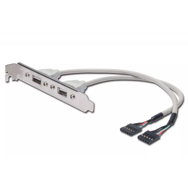 Cable con placa de ranura USB Digitus AK-300301-002-E