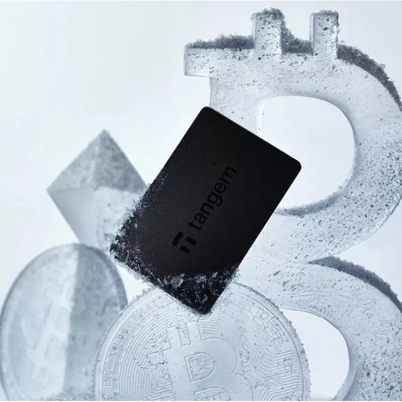 Monedero de criptomonedas Tangem Wallet - 2 tarjetas