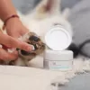 Pomada VETEXPERT Paw Protection 75 ml — cuidado de las almohadillas para perros y gatos, apta para todas las razas y edades