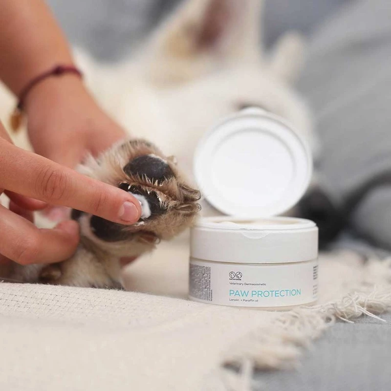 Pomada VETEXPERT Paw Protection 75 ml — cuidado de las almohadillas para perros y gatos, apta para todas las razas y edades