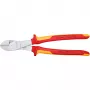 Producto Knipex 74 06 250