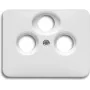 Busch Jaeger 1724-0-1911 cubierta de pared/cubierta de interruptor blanco (1724-0-1911)