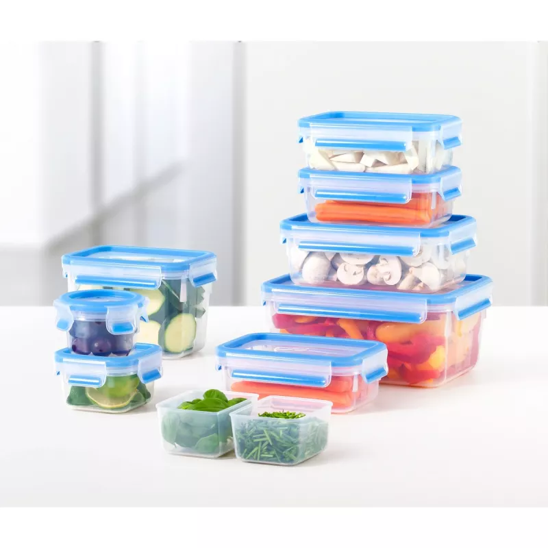 EMSA 508537 Recipiente para alimentos caja rectangular 1,75 L azul, transparente 1 ud.